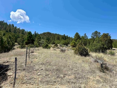 5 Acres Tract 47 Old Red River Rd, Questa, NM 87556 - photo 7