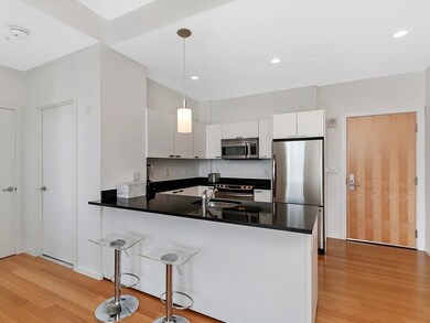 Sierra & Tango Condominiums unit T902, Cambridge, MA 02141 - photo 5