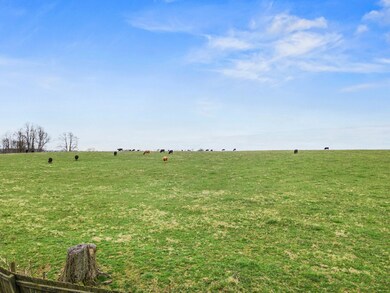 108 Tim Tam Trail, Georgetown, KY 40324 - photo 6