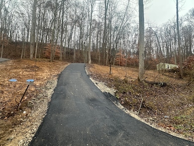 137  Lot 54 Yellowstone Dr unit Lot 54, East Bernstadt, KY 40729 - photo 5