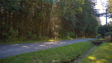 1751 Benson Rd, Point Roberts, WA 98281 - photo 5