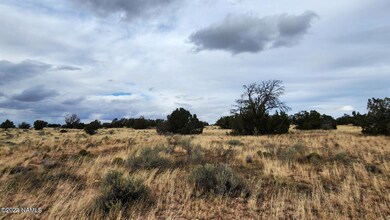 8381 W Shingle Oak Ln, Williams, AZ 86046 - photo 4