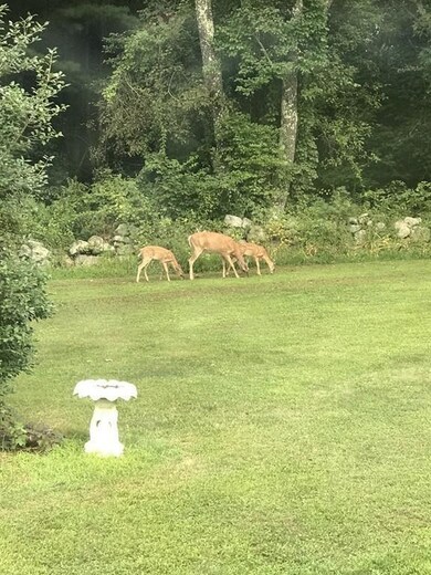 1 Nancy Ln, Westport, MA 02790 - photo 7