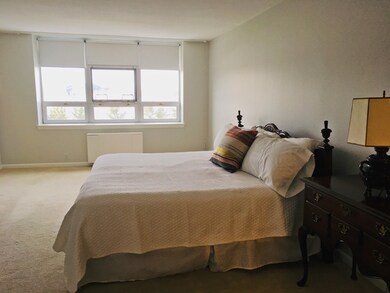 Imperial Towers unit 715, Chestnut Hill, MA 02467 - photo 6