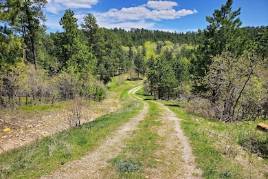 336 Middle Frk Rd, Devils Tower, WY 82714 - photo 4