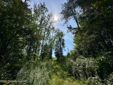 0 Baylors Pond Rd unit 25-4015, North Abington Twp., PA 18420 - photo 4