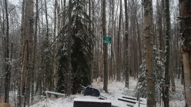 top of the ridge lot 17