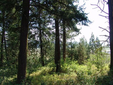 Timber & Views