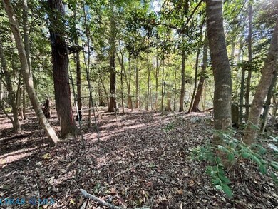 0 Yopps Cove Rd, White Stone, VA 22578 - photo 5
