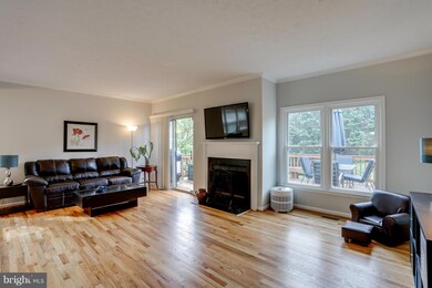 5905 Cedar Fern Ct, Columbia, MD 21044 - photo 7