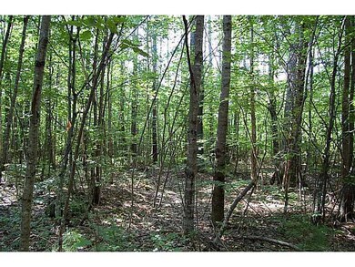 00 Elden Rd, Buxton, ME 04093 - photo 7