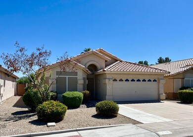 1181 N Jackson St, Chandler, AZ 85225 - photo 3