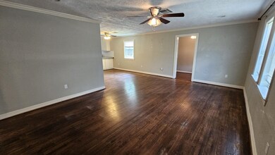 4810 Arvilla Ln, Houston, TX 77021 - photo 3