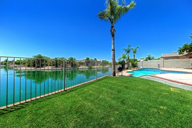 Amazing Yard and VIEWS