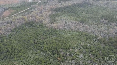 6703 Buchan Rd, Pembroke, GA 31321 - photo 6