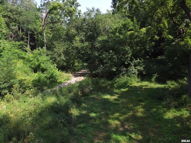 1004 34th Ave, Moline, IL 61265 - photo 7