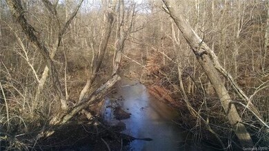 9.76 acres Mt Zion Church Rd, Alexis, NC 28006 - photo 5
