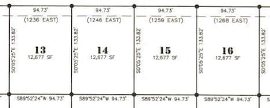 Lot 15