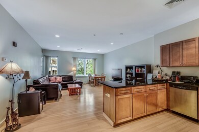 99 Chestnut Hill Ave unit 316, Boston, MA 02135 - photo 3