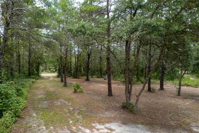 0 Sea Meadows Dr, Perry, FL 32348 - photo 2