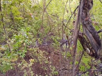 239 S Canyon City Rd E, Canyon City, OR 97820 - photo 5