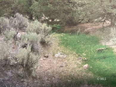 0 Tuledad Canyon unit 2906696, Termo, CA 96132 - photo 2