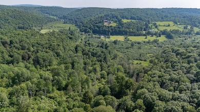 0 Cummiskey Rd, New Albany, PA 18833 - photo 7