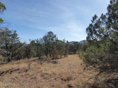 gentle terrain at N end of lot