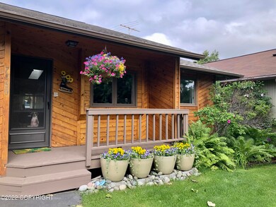 Front View Summer
