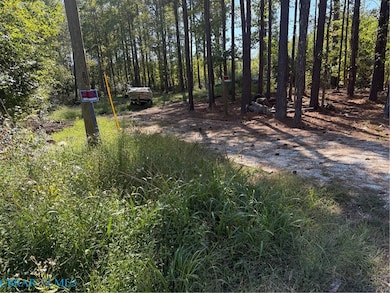 587 Georgetown Rd, Heathsville, VA 22473 - photo 7