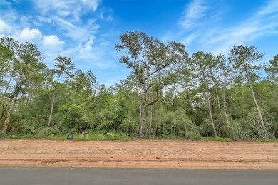 19853 Whispering Creek Trail, Magnolia, TX 77355 - photo 2