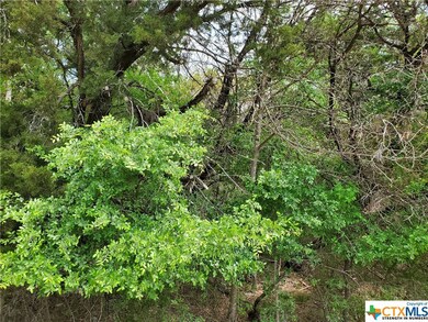 13172 Harbor Dr, Temple, TX 76502 - photo 4