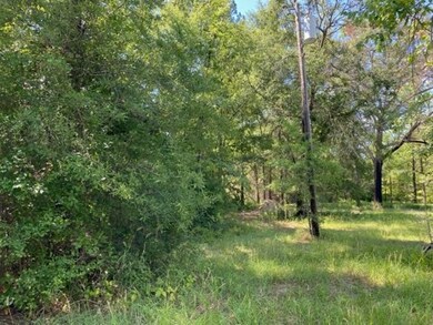 LOT 2 Landrum Rd, Lufkin, TX 75904 - photo 3