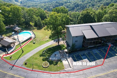 Walk to the Pool