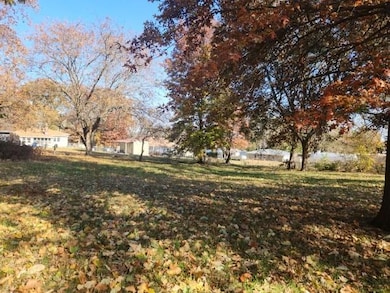 710 W Mason St, Odessa, MO 64076 - photo 5