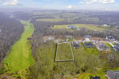 403 W Declan, Nixa, MO 65714 - photo 4