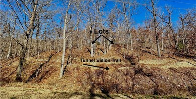 22 Dolly Cir, Bella Vista, AR 72715 - photo 5