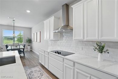 Kitchen with wall chimney exhaust hood, black elec