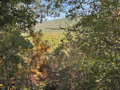 Tract 2 Benson Ln, Heavener, OK 74937 - photo 2