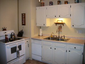 Kitchen Pic2