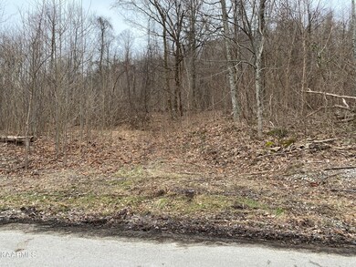 Above Walker Mountain Rd, Cookeville, TN 38506 - photo 2