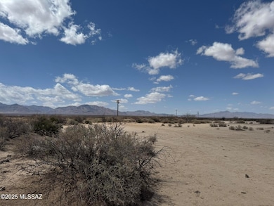 80 Acres Parker Rd, San Simon, AZ 85632 - photo 7