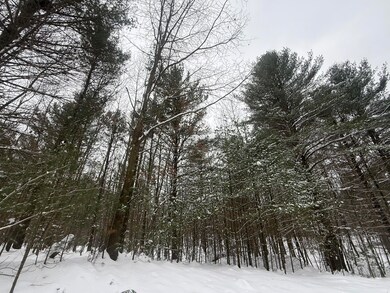 3.75 Acres Wayne Rd, Pentwater, MI 49449 - photo 5