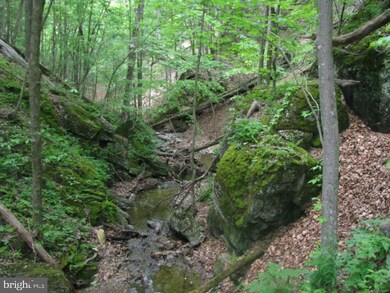 36 Elkhorn Sub Divide, Dorcas, WV 26847 - photo 4