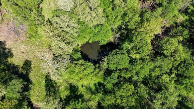 Pond