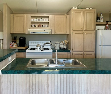 2830 Calhoun Dr, Abbeville, AL 36310 - photo 7