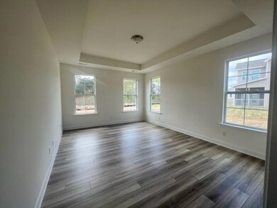 LVP floors and Trey Ceiling