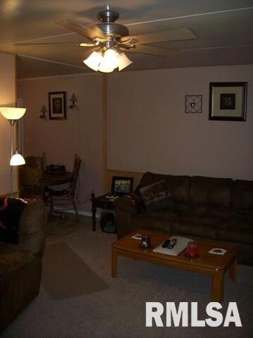 1620 Pekin St, Lincoln, IL 62656 - photo 2