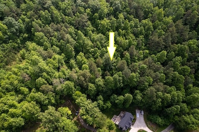 Lot 12 Carousel Ln, Sylva, NC 28779 - photo 7