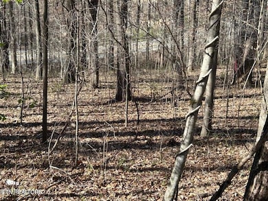 20240409182545676569000000-o